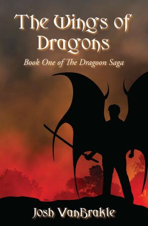 Cover of the book The Wings of Dragons: Book One of the Dragoon Saga by Marcy Braasch
