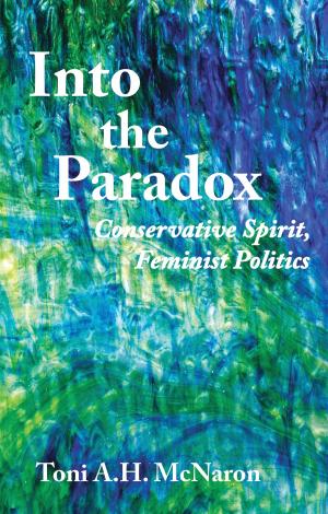 Cover of the book Into the Paradox by mickael thery