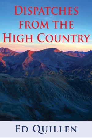 Book cover of Dispatches from the High Country: Essays on the West from High Country News