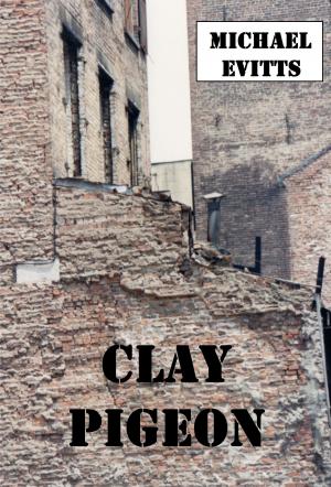 Cover of the book Clay Pigeon by David Bradwell