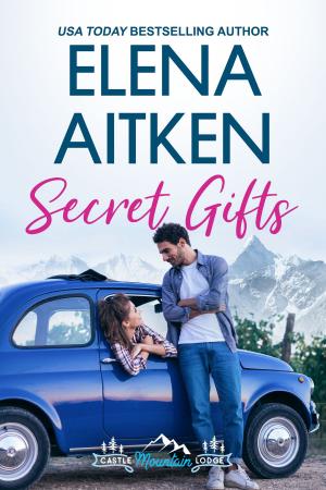 Book cover of Secret Gifts