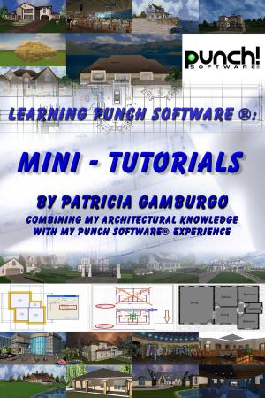 Book cover of Learning Punch Software (R): Mini - Tutorials