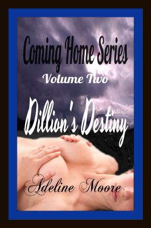 Cover of the book Coming Home Series volume Two Dillon's Destiny by Jaime Ward