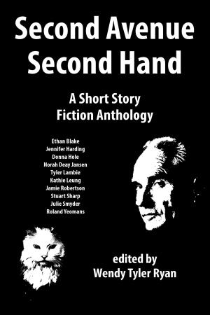 Book cover of Second Avenue Second Hand: A Short Story Fiction Anthology