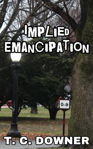 Book cover of Implied Emancipation