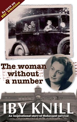 Cover of the book The Woman Without a Number by Connie May Fowler