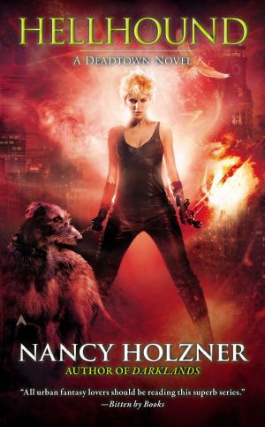 Cover of the book Hellhound by Andrew Holtz