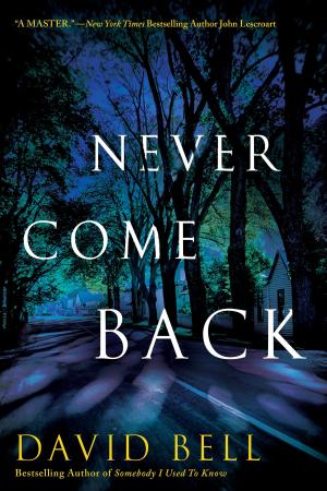 Cover of the book Never Come Back by Andrea Camilleri