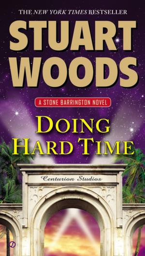 Cover of the book Doing Hard Time by Jake Logan