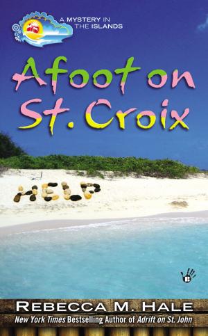 Cover of the book Afoot on St. Croix by Sarah Healy