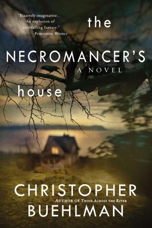 Cover of the book The Necromancer's House by Jessica Fletcher, Donald Bain