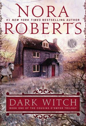 Cover of the book Dark Witch by Dave Barry