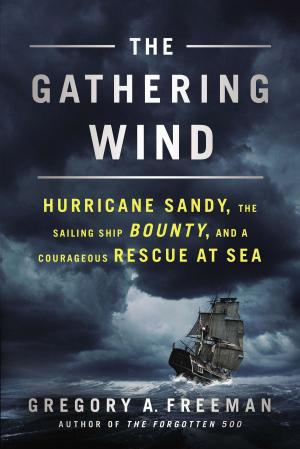 Cover of the book The Gathering Wind by Lee Goldberg