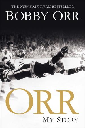 Cover of the book Orr by Mary Stanton