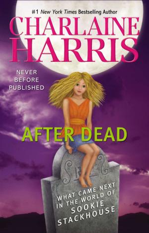 Cover of the book After Dead by Steve Bein