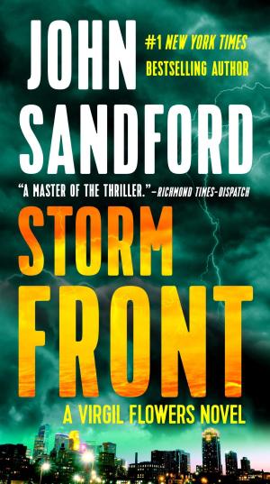 Cover of the book Storm Front by Jennie Nash