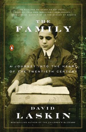 bigCover of the book The Family by 