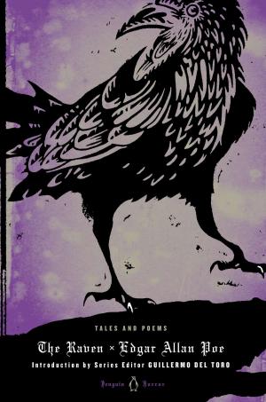Cover of the book The Raven by Hugh Ambrose, John Schuttler