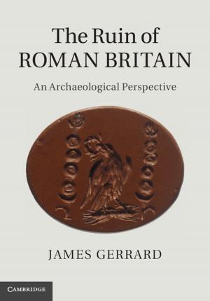 Cover of the book The Ruin of Roman Britain by Matthew  Dirst