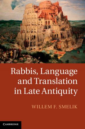Cover of the book Rabbis, Language and Translation in Late Antiquity by Lisa M. Osbeck, PhD, Nancy J. Nersessian, PhD, Kareen R. Malone, PhD, Wendy C. Newstetter