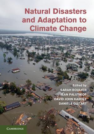 Cover of the book Natural Disasters and Adaptation to Climate Change by Yoshifumi Tanaka