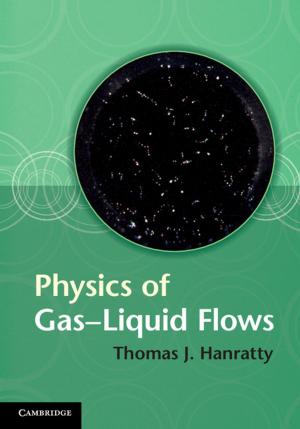 Cover of the book Physics of Gas-Liquid Flows by Robert Schütze