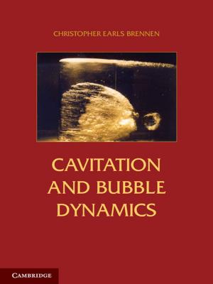 Cover of the book Cavitation and Bubble Dynamics by Petr Šmilauer, Jan Lepš