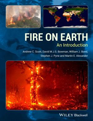 Cover of the book Fire on Earth by Zygmunt Bauman