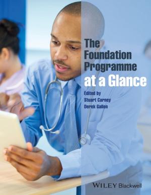 Cover of the book The Foundation Programme at a Glance by Steven D. Peterson, Peter E. Jaret, Barbara Findlay Schenck, Colin Barrow
