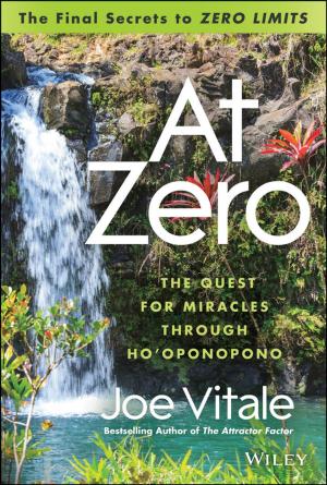 Cover of the book At Zero by Adrian Raftery