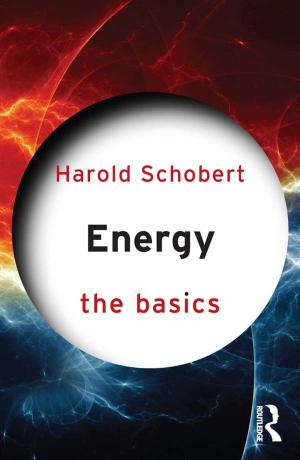 Cover of the book Energy: The Basics by Rosemarie Tong