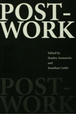 Cover of the book Post-Work by Elaine Hanzak