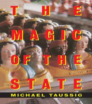 Cover of the book The Magic of the State by Richard A. Lippa