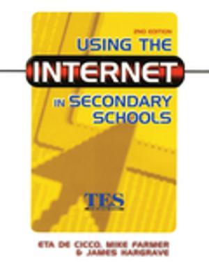 Cover of the book Using the Internet in Secondary Schools by Robert A. Hipkiss
