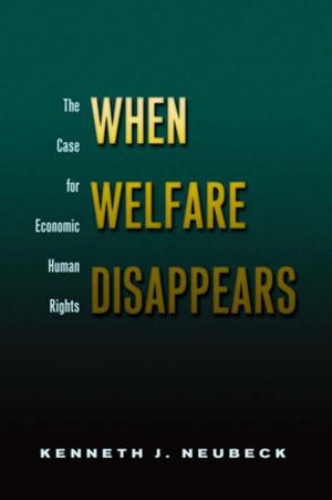Cover of the book When Welfare Disappears by Diana Paola Guzmán Méndez, Paula Andrea Marín Colorado, Juan David Murillo Sandoval, Miguel Ángel Pineda Cupa