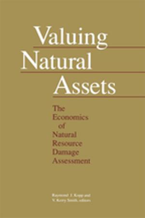 Book cover of Valuing Natural Assets
