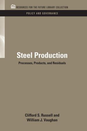 Book cover of Steel Production