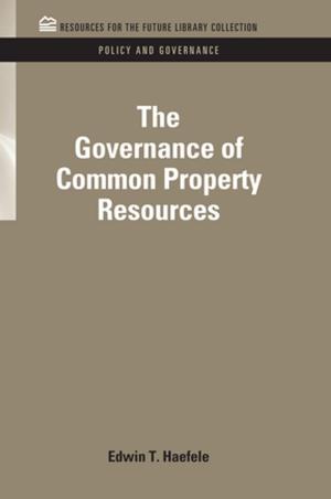Cover of the book The Governance of Common Property Resources by Martin Daniel Niemetz