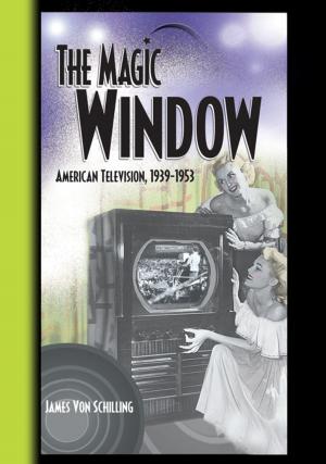 Cover of the book The Magic Window by Monicque Lorist, Jan Snel