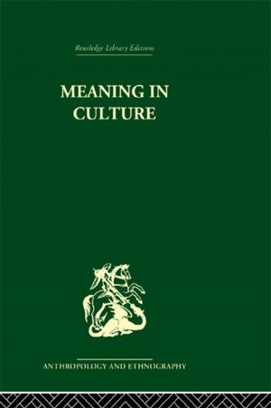 Cover of the book Meaning in Culture by 