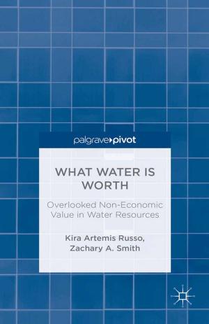 Cover of the book What Water Is Worth: Overlooked Non-Economic Value in Water Resources by U. Ben-Eliezer