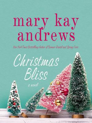 Cover of the book Christmas Bliss by Daphne Unruh