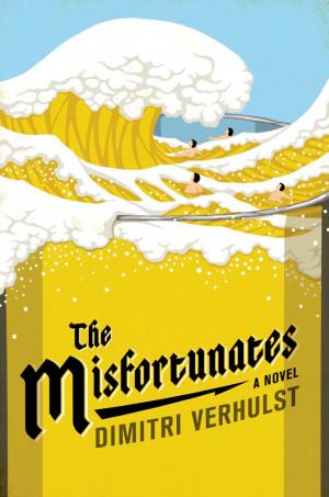 Cover of the book The Misfortunates by Michael Nethercott
