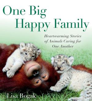 Cover of the book One Big Happy Family by Lois H. Gresh