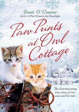 Cover of the book Paw Prints at Owl Cottage by Penn Jillette