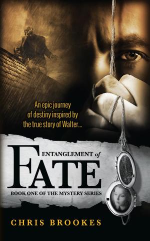 Cover of the book Entanglement of Fate by D.B. Barton