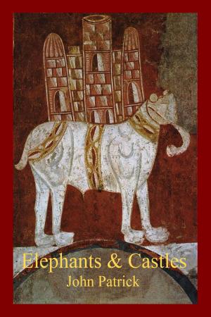Book cover of Elephants and Castles