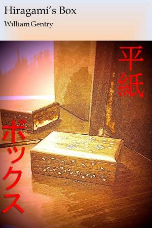 Book cover of Hiragami's Box