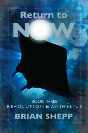 Cover of the book Return to Now, Book Three: Revolution in Anjhélius by Valerie Zambito