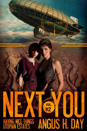 Book cover of Next You Volume 2